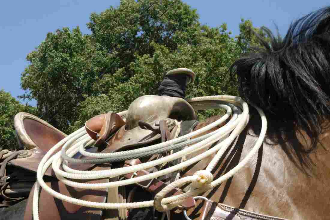 Cowboy horse2 k Military A4 Photo Print