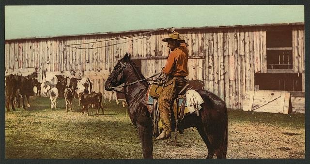 Cowboy throwing lariat Vintage A4 Photo Print
