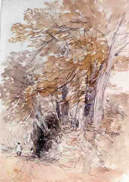 Cox David Tree Lined Lane With Steep Banks A4 Photo Print