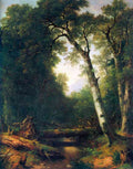 Creek In The Woods Asher Brown Durand A4 Photo Print