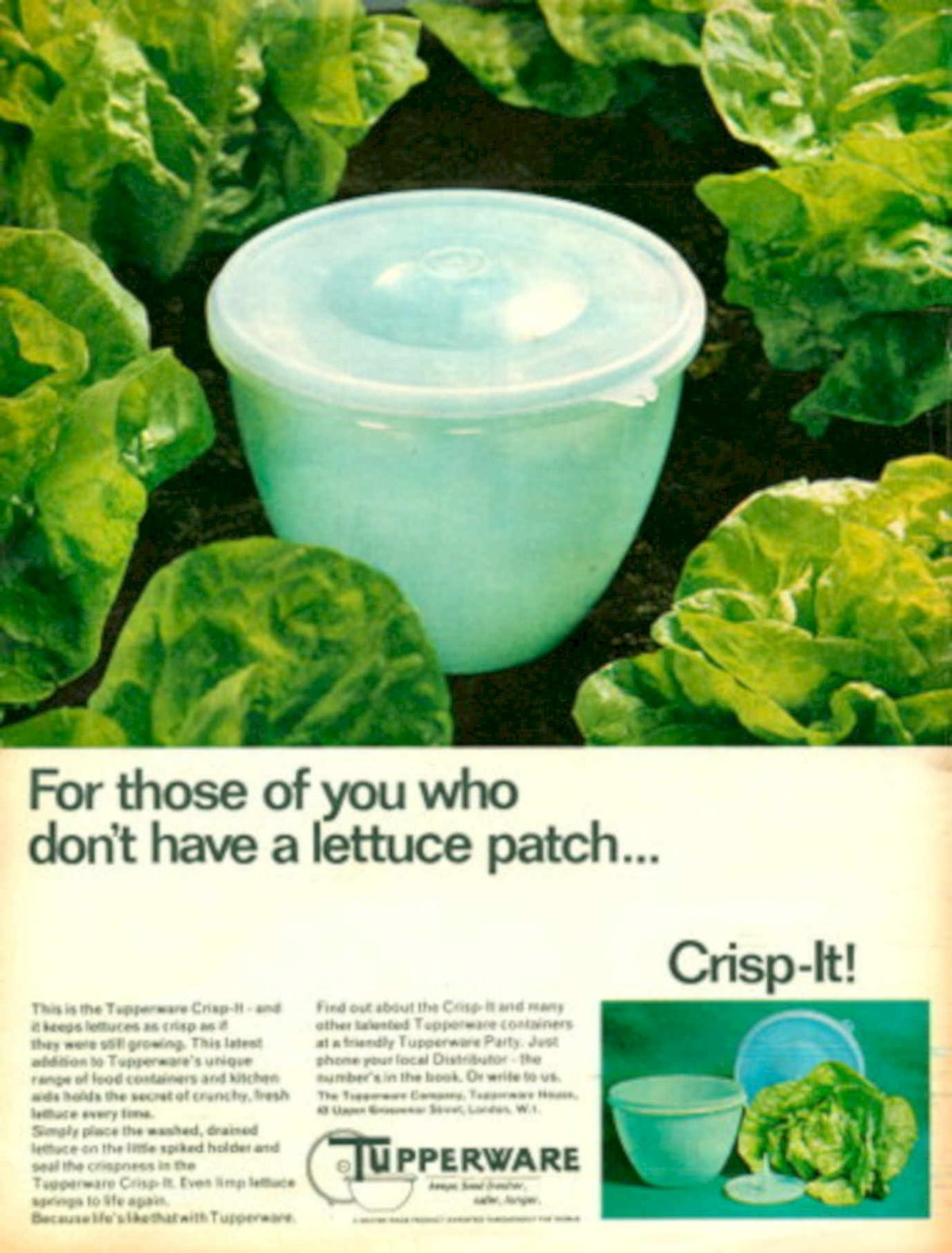 Crisp Lettuce 1960s Vintage Retro Advert