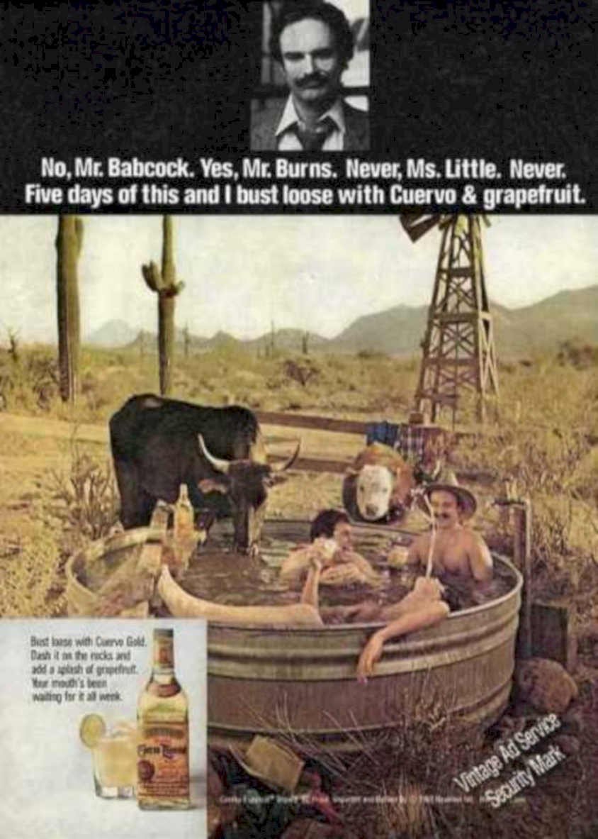 Cuervo Windmill Cows Vintage Retro Advert Ads A4 Photo Print