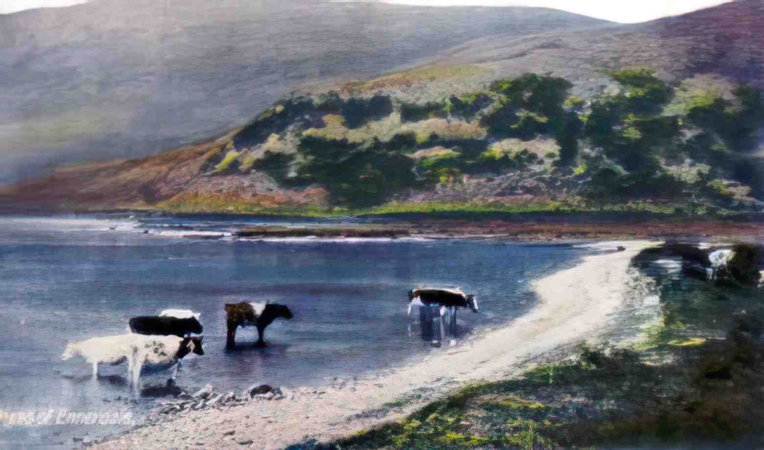 Cumbria Ennerdale 1911 Vintage A4 Photo Print