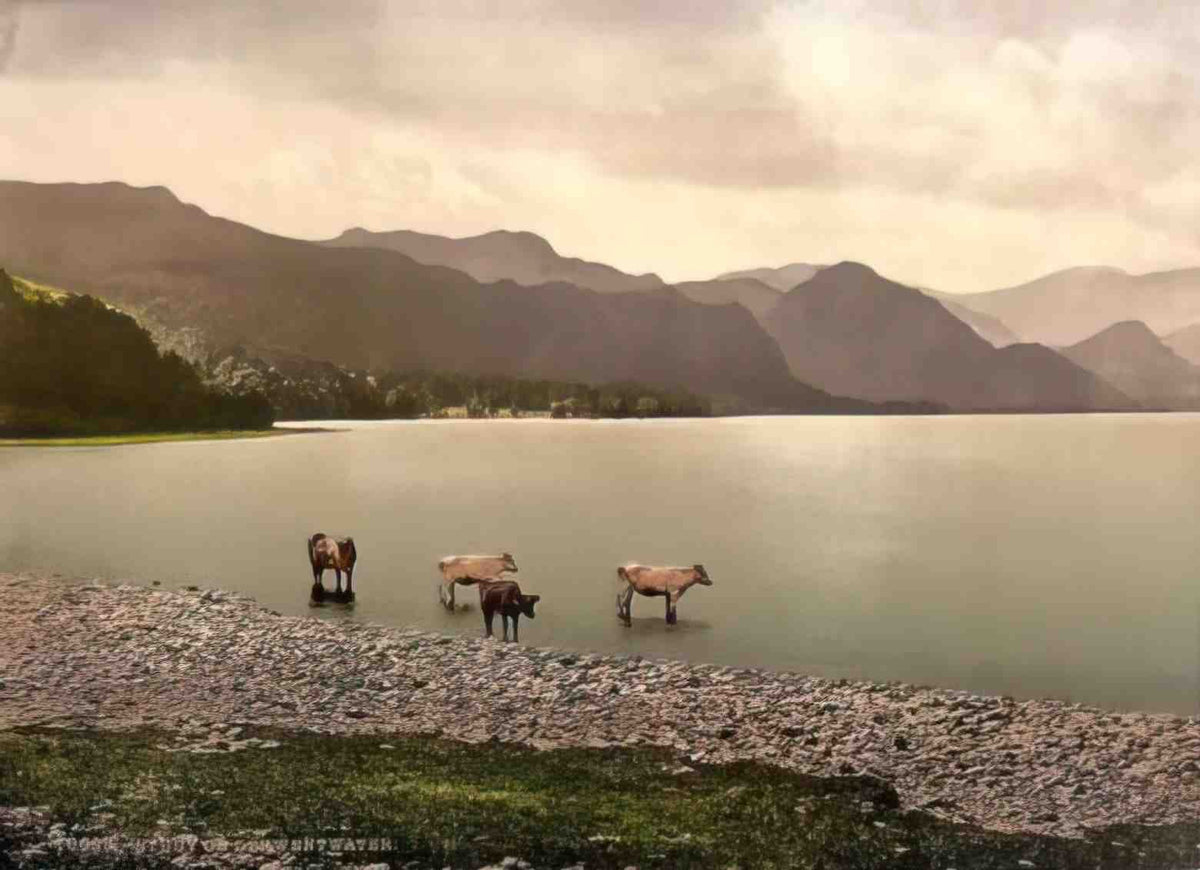 Cumbria Study on Derwentwater Vintage A4 Photo Print