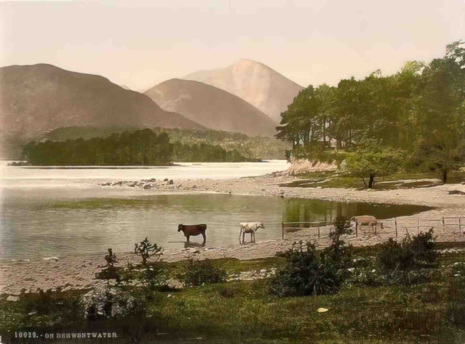 Cumbria on Derwentwater Vintage A4 Photo Print