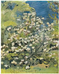 Cuno Amiet magnolia 1945 Art A4 Photo Print UK