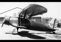 Curtiss Yo40 Light Observation Aircraft Usaac Military A4 Photo Print