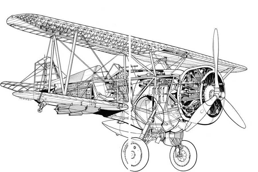 Curtiss f11c cutaway A4 Photo Print