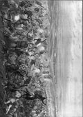 Custers Last Fight BW A4 Photo Print