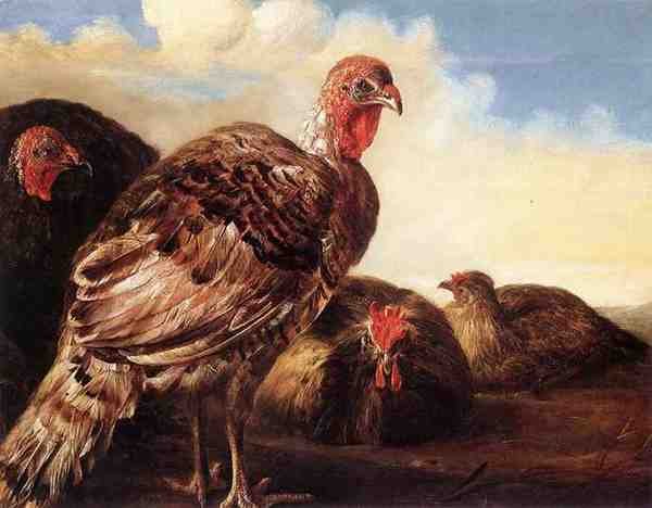 Cuyp Aelbert Domestic Fowl A4 Photo Print