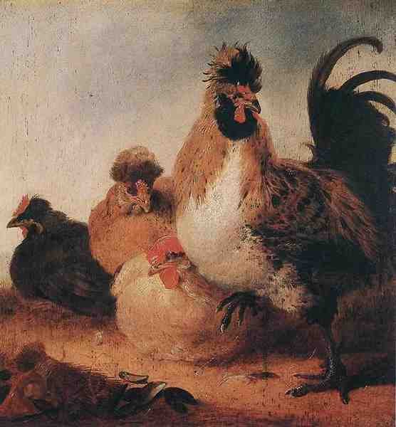 Cuyp Aelbert Rooster And Hens A4 Photo Print