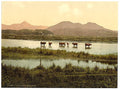 Cynicht and Moelwyn Vintage A4 Photo Print