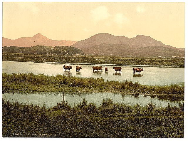 Cynicht and Moelwyn Vintage A4 Photo Print