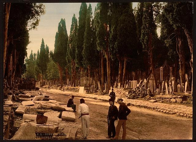 Cypresses and road Scutari Constantinople Vintage A4 Photo Print