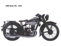 DKW Sport250 1936 motorbike A4 Photo Print