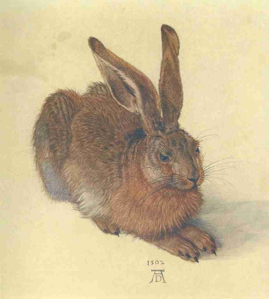 Dürer Albrecht 1471 1528 Dürer 1921 Hare A4 Photo Print