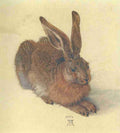 Dürer Albrecht 1471 1528 Hare Dürer 1921 A4 Photo Print