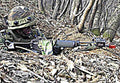 Daewoo K2 15 (2) Military A4 Photo Print