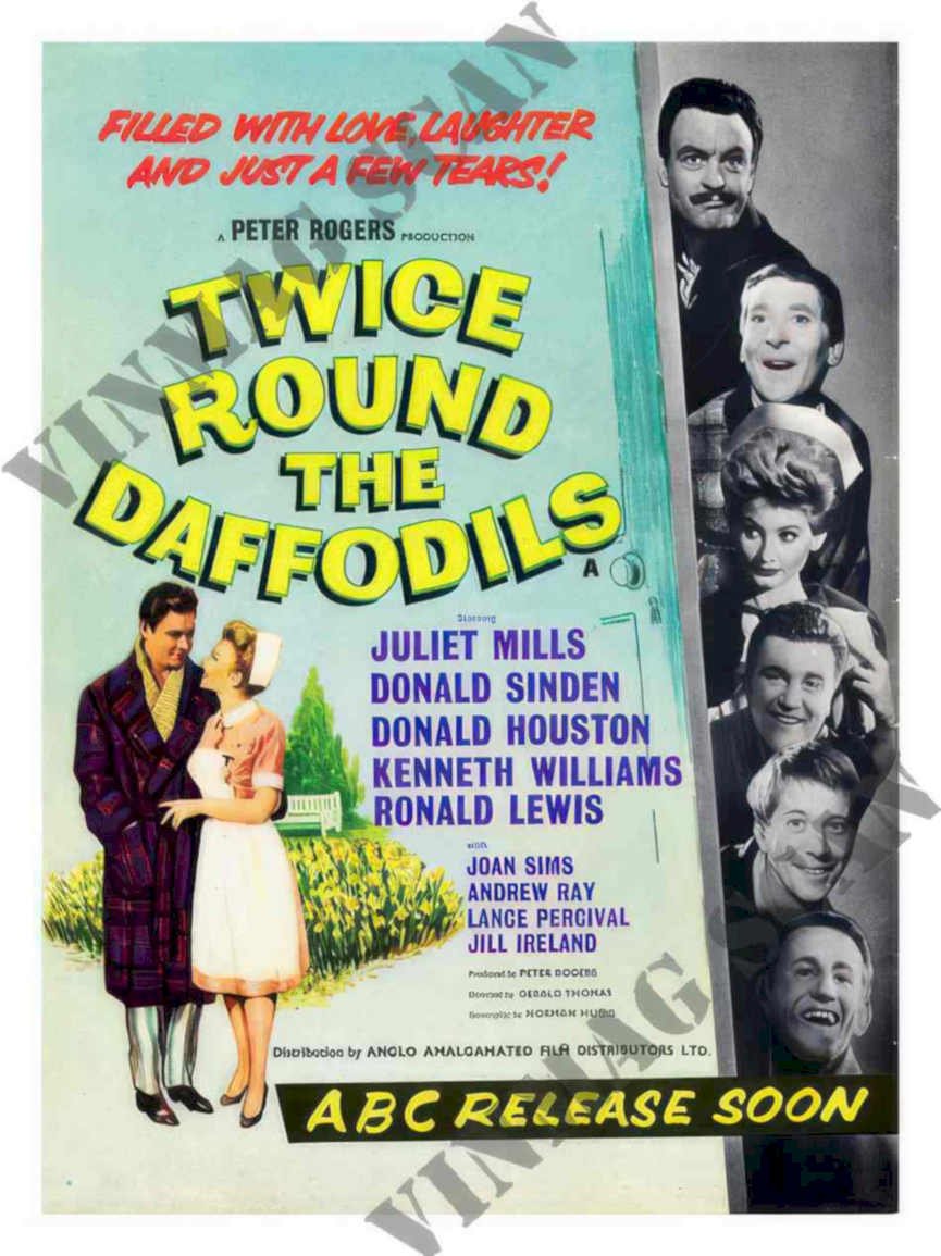 Daffodils Hills Poster Vintage Retro Advert Ads A4 Photo Print