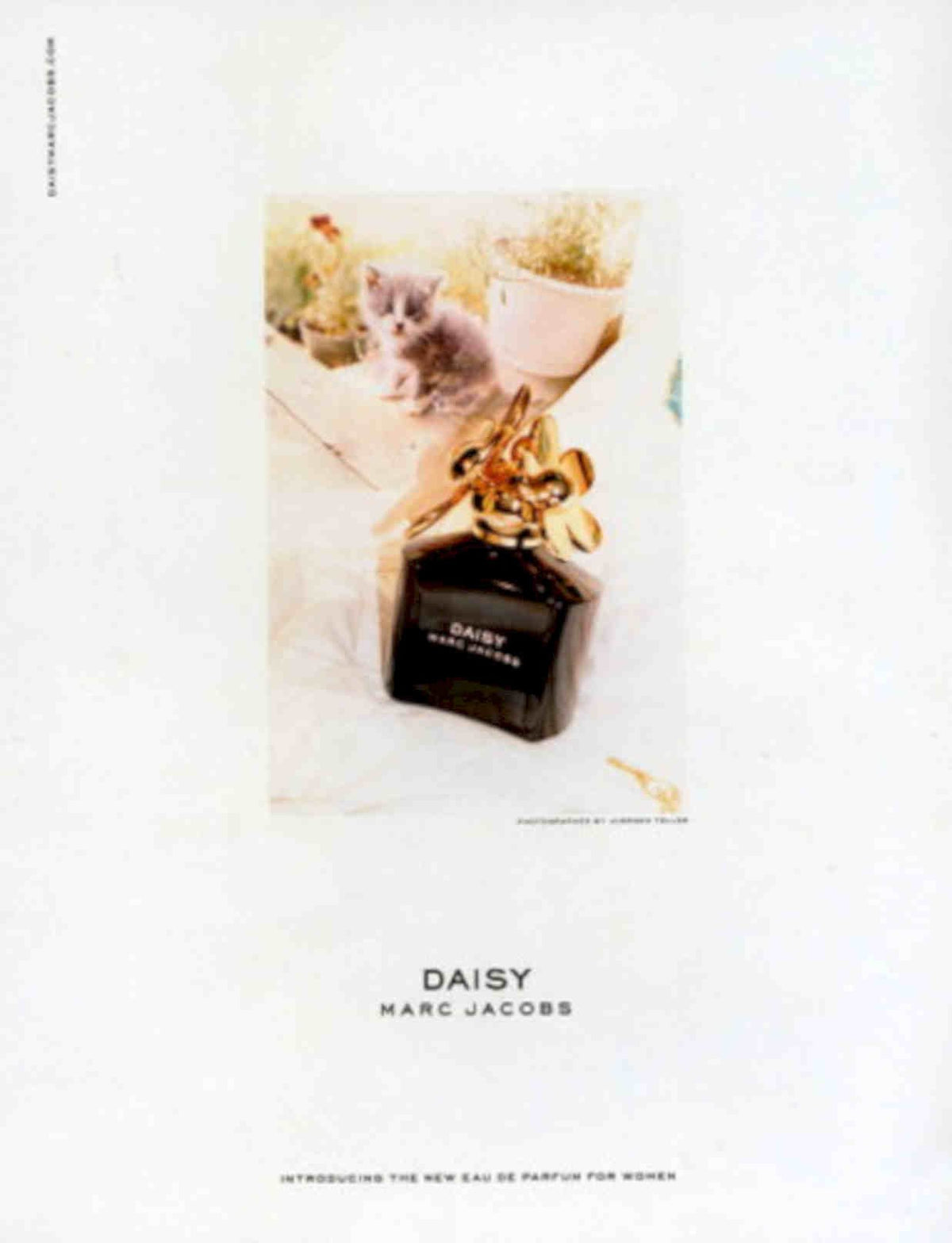 Daisy Marc Jacobs 1 Vintage Retro Advert Poster A4 Photo Print