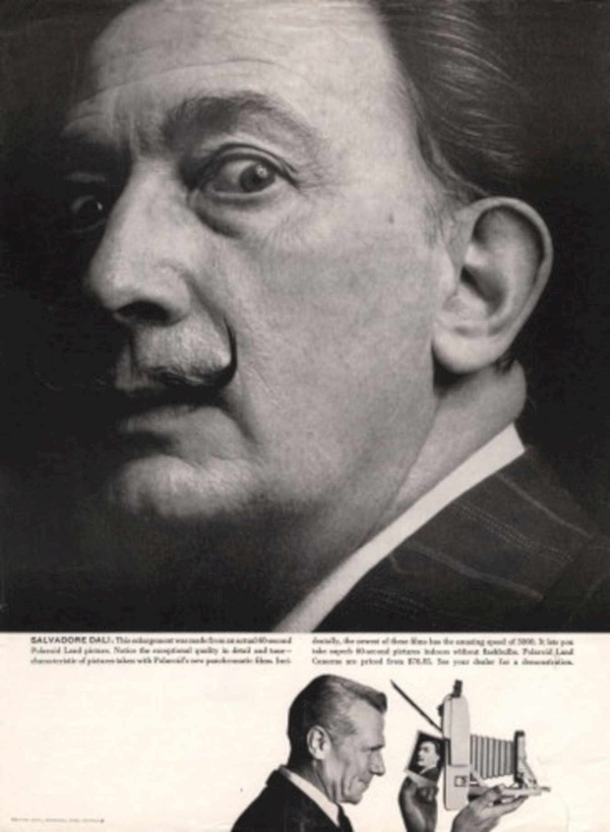 Dali Polaroid Camera 1960s Vintage Retro Advert