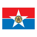Dallas City Flag N6203 A4 Photo Print