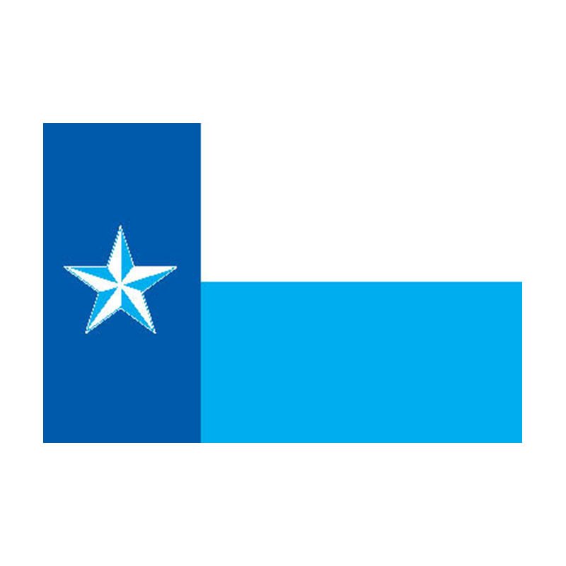 Dallas County Flag N6204 A4 Photo Print