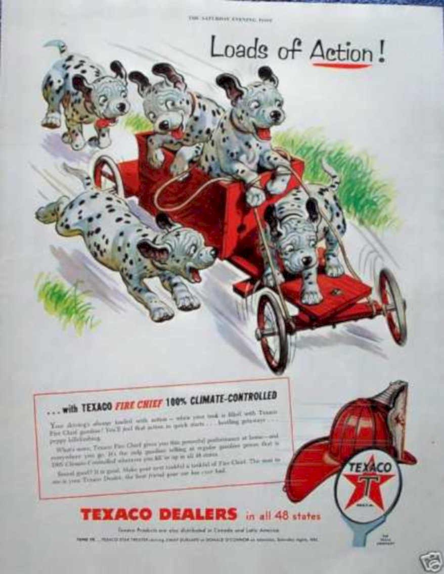Dalmatian Fire Chief Vintage Retro Advert Ads A4 Photo Print