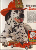 Dalmatian Fire Engine Vintage Retro Advert Ads A4 Photo Print