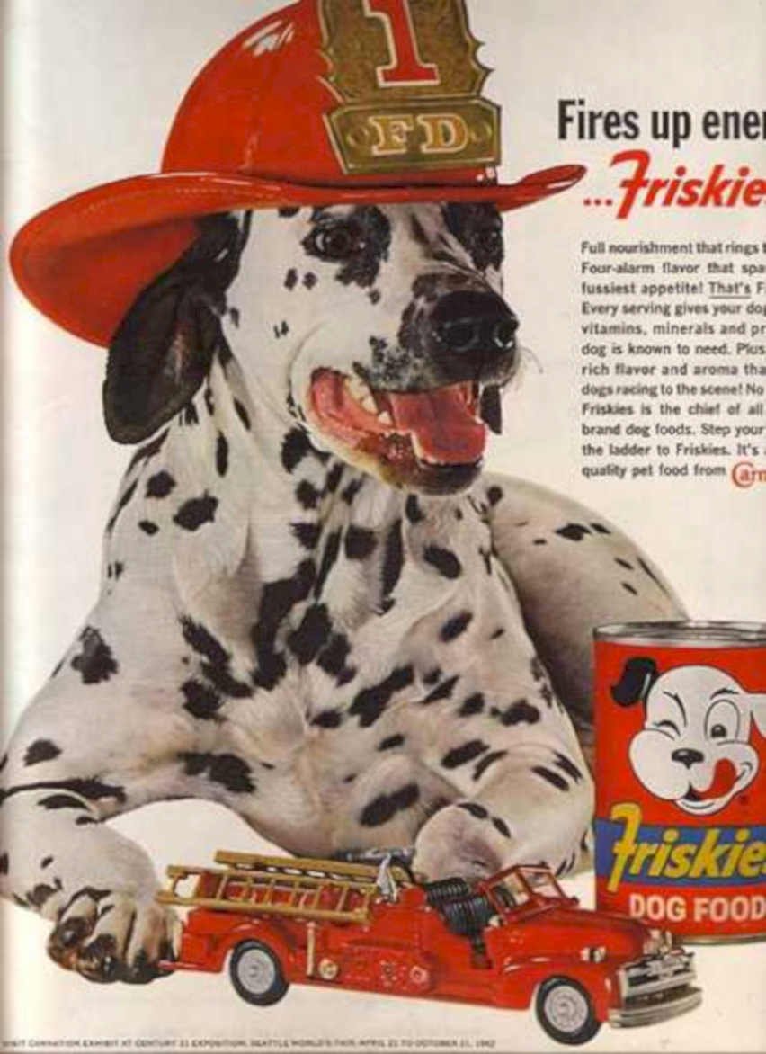 Dalmatian Fire Engine Vintage Retro Advert Ads A4 Photo Print