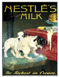 Dalmatian Milk Cream 1 Vintage Retro Advert Ads A4 Photo Print