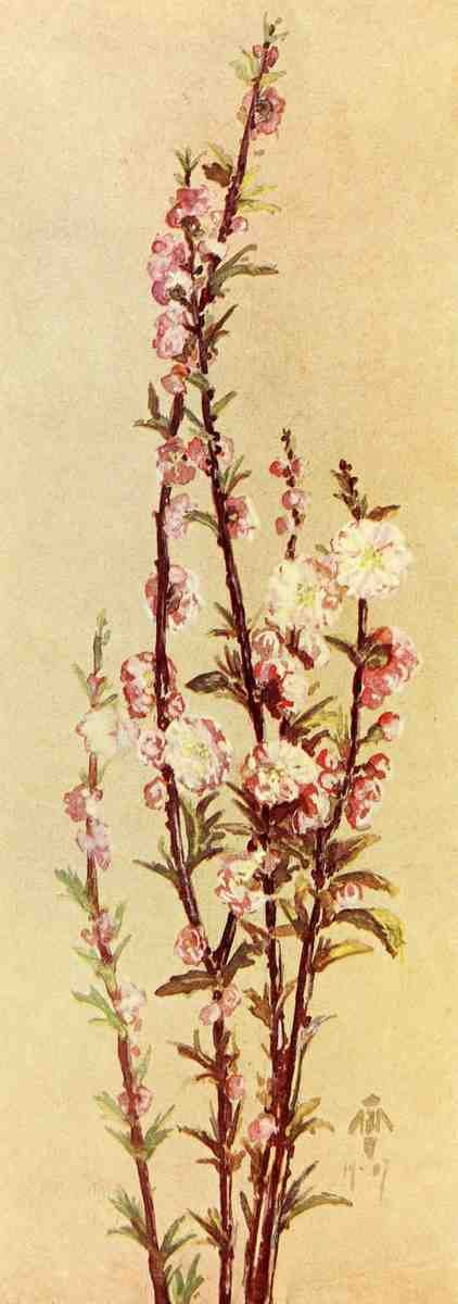 Daniell EE Keramic Studio 1899 1920 Flowering Almond A4 Photo Print