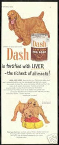 Dash Cocker Spaniel Vintage Retro Advert Ads A4 Photo Print