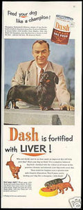 Dash Dachshund Champion Vintage Retro Advert Ads A4 Photo Print