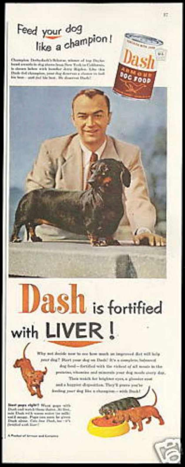 Dash Dachshund Champion Vintage Retro Advert Ads A4 Photo Print