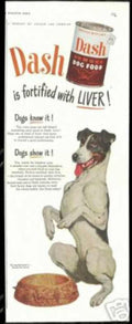 Dash Jack Terrier Vintage Retro Advert Ads A4 Photo Print