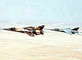 Dassault Mirage F1 12 (2) Military A4 Photo Print