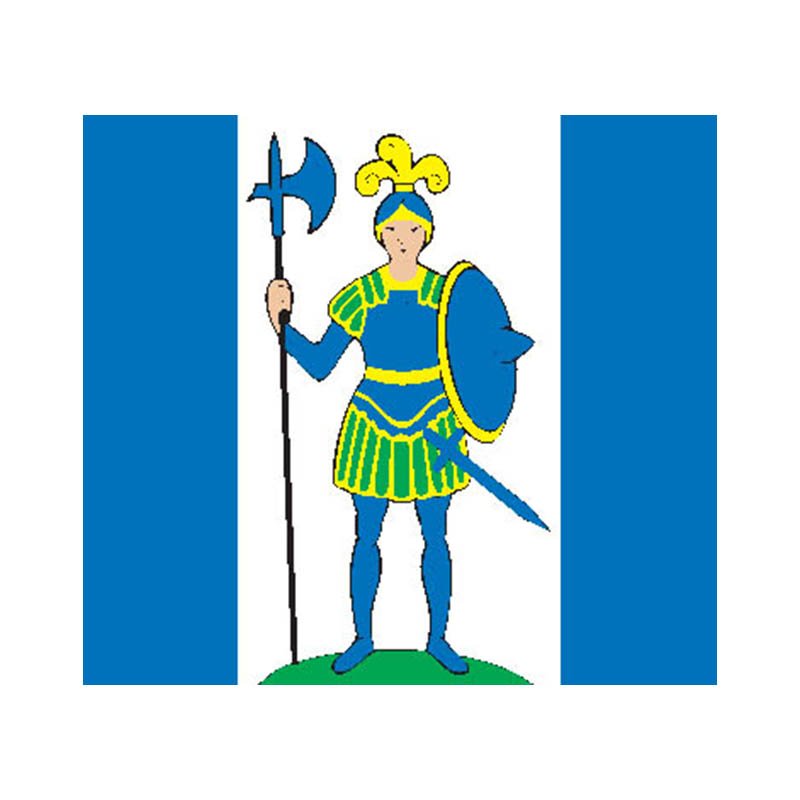 Daugai City Flag N6745 A4 Photo Print