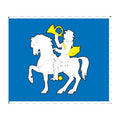 Daugailiai City Flag N6748 A4 Photo Print