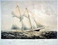 Dauntless 2 Ship Vintage A4 Photo Print