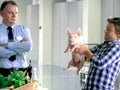 David Piglet Office Vintage Retro Advert Poster A4 Photo Print