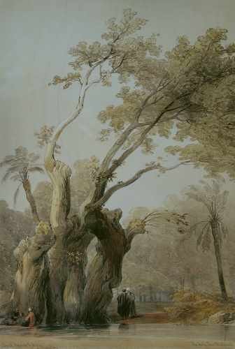 David Roberts The Holy Tree Of Metereah A4 Photo Print