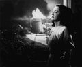 Davis Bette Beyond the Forest 2 film star poster A4 Photo Print