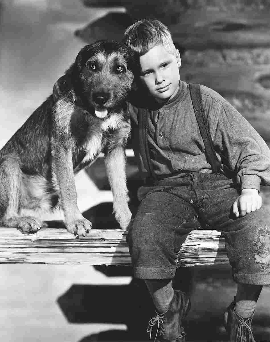 De Wilde Brandon Shane 1 film star poster A4 Photo Print