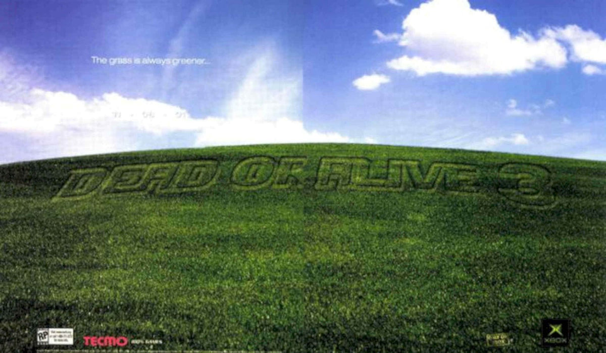 Dead Or Alive 2 Vintage Retro Advert Poster A4 Photo Print