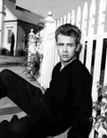 Dean James 1 film star poster A4 Photo Print