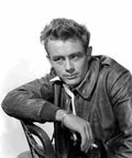 Dean James 10 film star poster A4 Photo Print