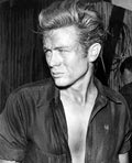 Dean James Giant 14 film star poster A4 Photo Print