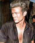 Dean James Giant 14C film star poster A4 Photo Print