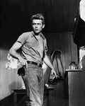 Dean James Giant 4 film star poster A4 Photo Print